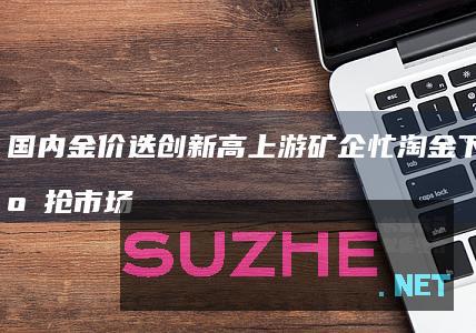 国内金价迭创新高上游矿企忙淘金下游拓店抢市场_财经