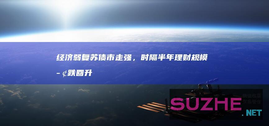 经济弱复苏债市走强，时隔半年理财规模止跌回升_财经