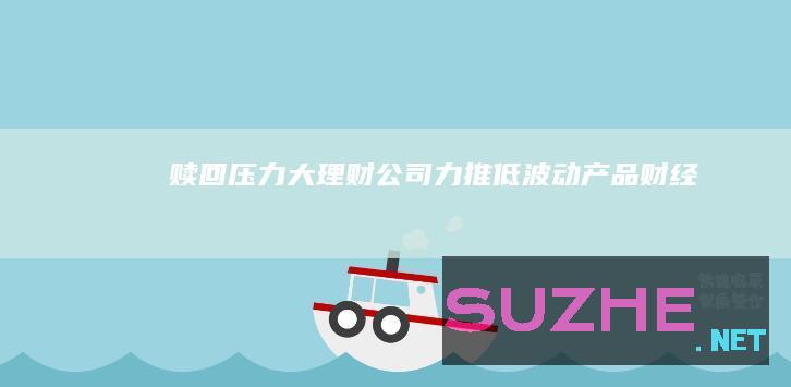 赎回压力大理财公司力推“低波动”产品_财经