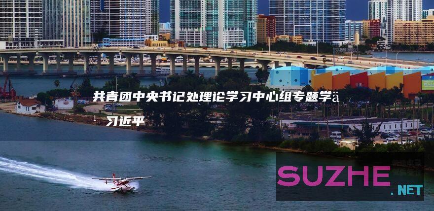 共青团中央书记处理论学习中心组专题学习习近平总书记关于党的自我革命的重要思想_新闻频道