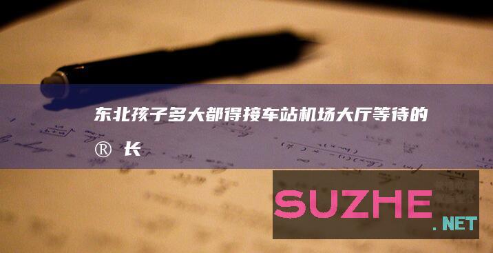 东北孩子多大都得接车站机场大厅等待的家长