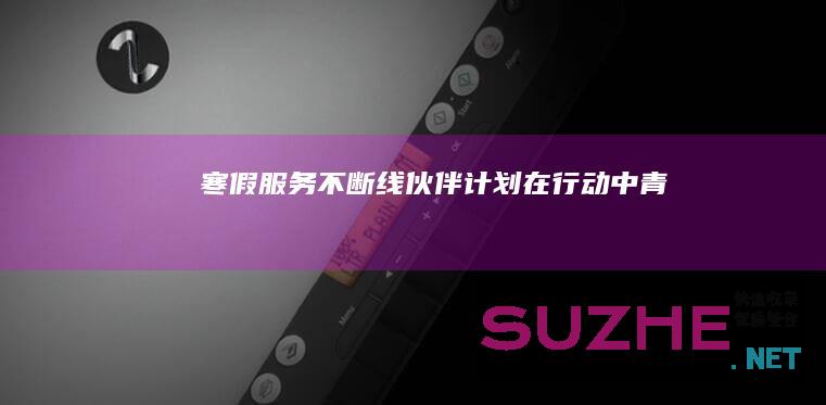 寒假服务不断线“伙伴计划”在行动_中青