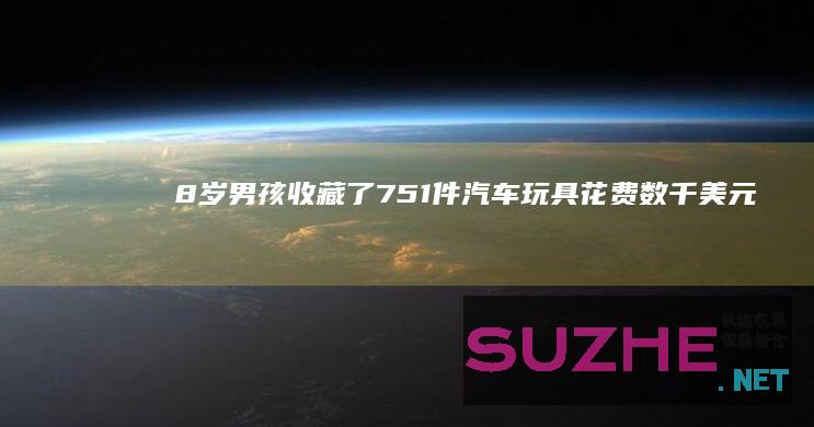 8岁男孩收藏了751件汽车玩具花费数千美元_发现频道