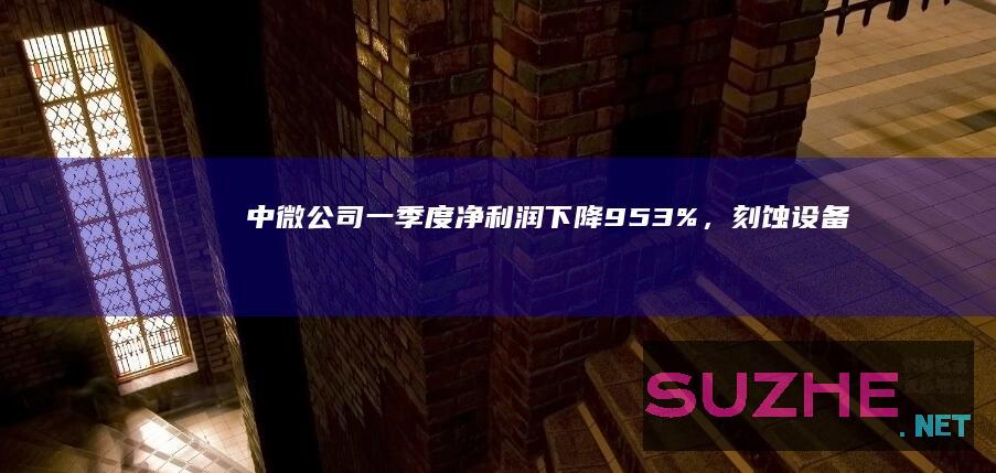 中微公司一季度净利润下降9.53%，刻蚀设备营收增长六成_财经