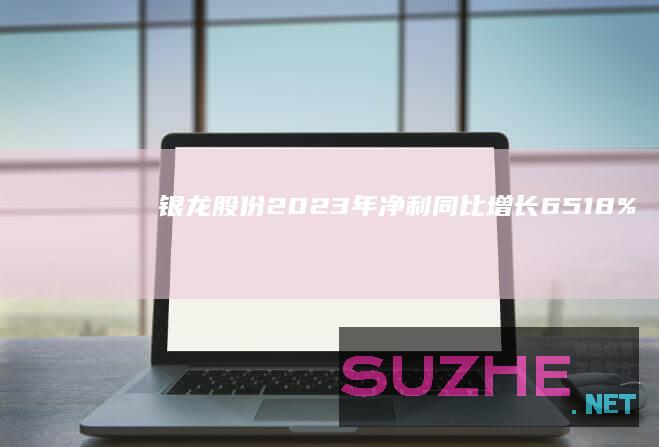 银龙股份2023年净利同比增长6518%