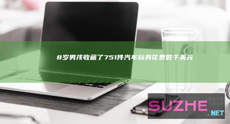 8岁男孩收藏了751件汽车玩具花费数千美元_发现频道