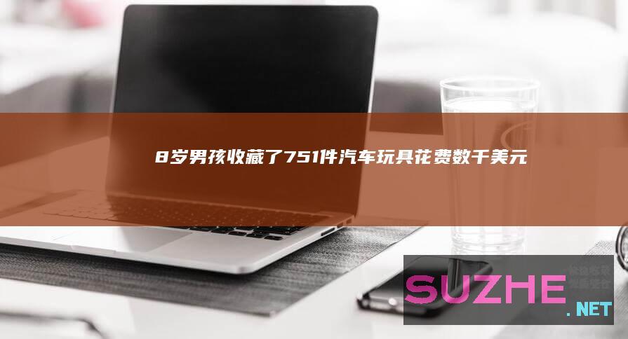 8岁男孩收藏了751件汽车玩具花费数千美元_发现频道