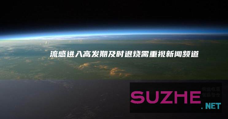 流感进入高发期及时退烧需重视_新闻频道