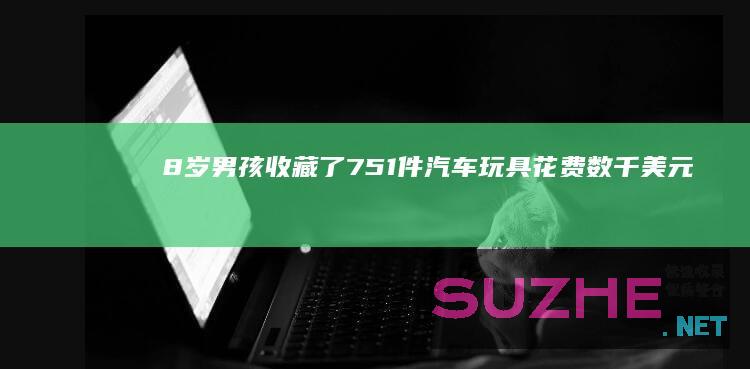 8岁男孩收藏了751件汽车玩具花费数千美元