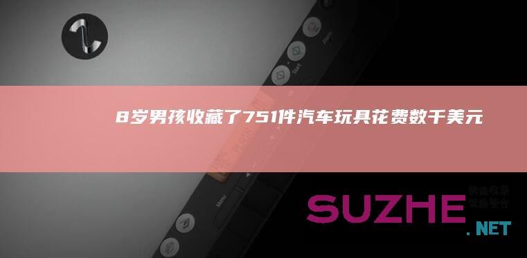 8岁男孩收藏了751件汽车玩具花费数千美元_发现频道