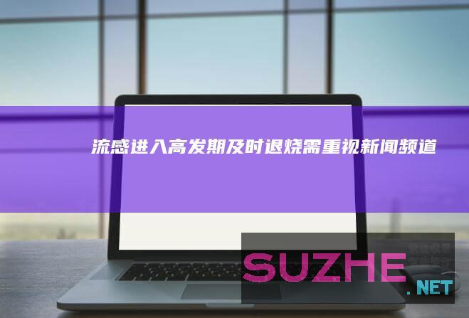 流感进入高发期及时退烧需重视_新闻频道