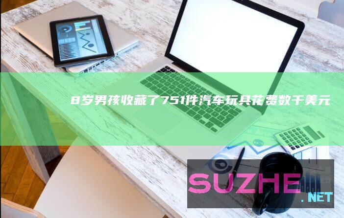 8岁男孩收藏了751件汽车玩具花费数千美元_发现频道