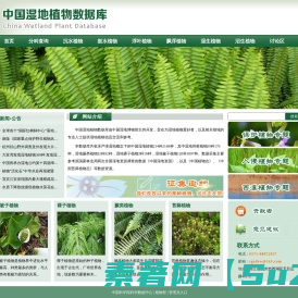 中国湿地植物数据库